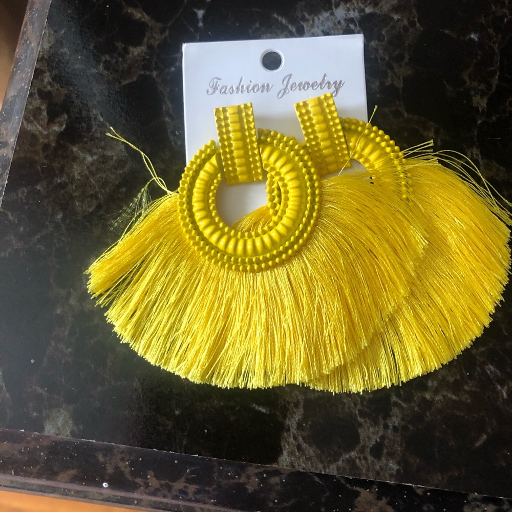 Hanging earrings NWT